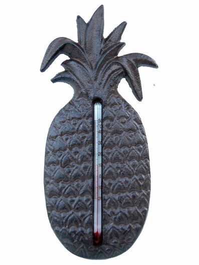 Thermomètre intérieur / extérieur - Ananas