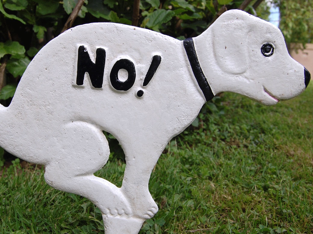 Piquet panneau fonte pour pelouse - No Dog [Prix Bas]