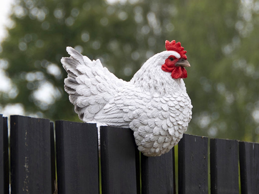 Poule Sussex décorative accroche barrière [Prix Bas]