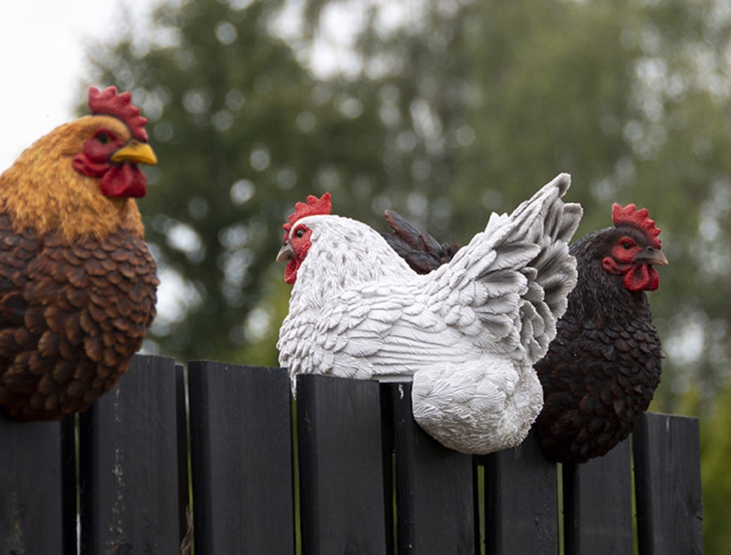 Poule Sussex décorative accroche barrière [Prix Bas]